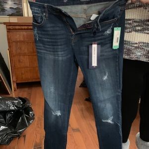 Vigos Marisa Distressed Skinny Jean